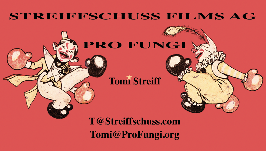 Streiffschuss Films AG Logo